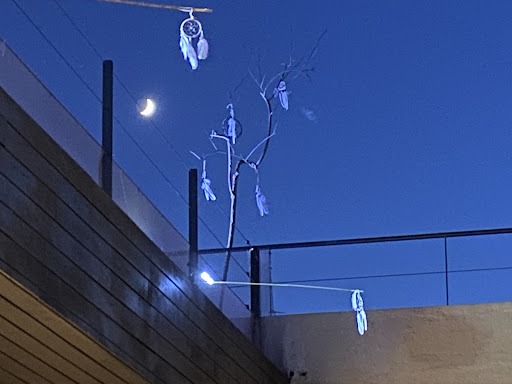 Negocio Clínica Estètica València Vicario